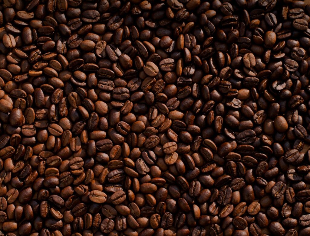 tips mengelola stok biji kopi agar tidak terbuang sia-sia