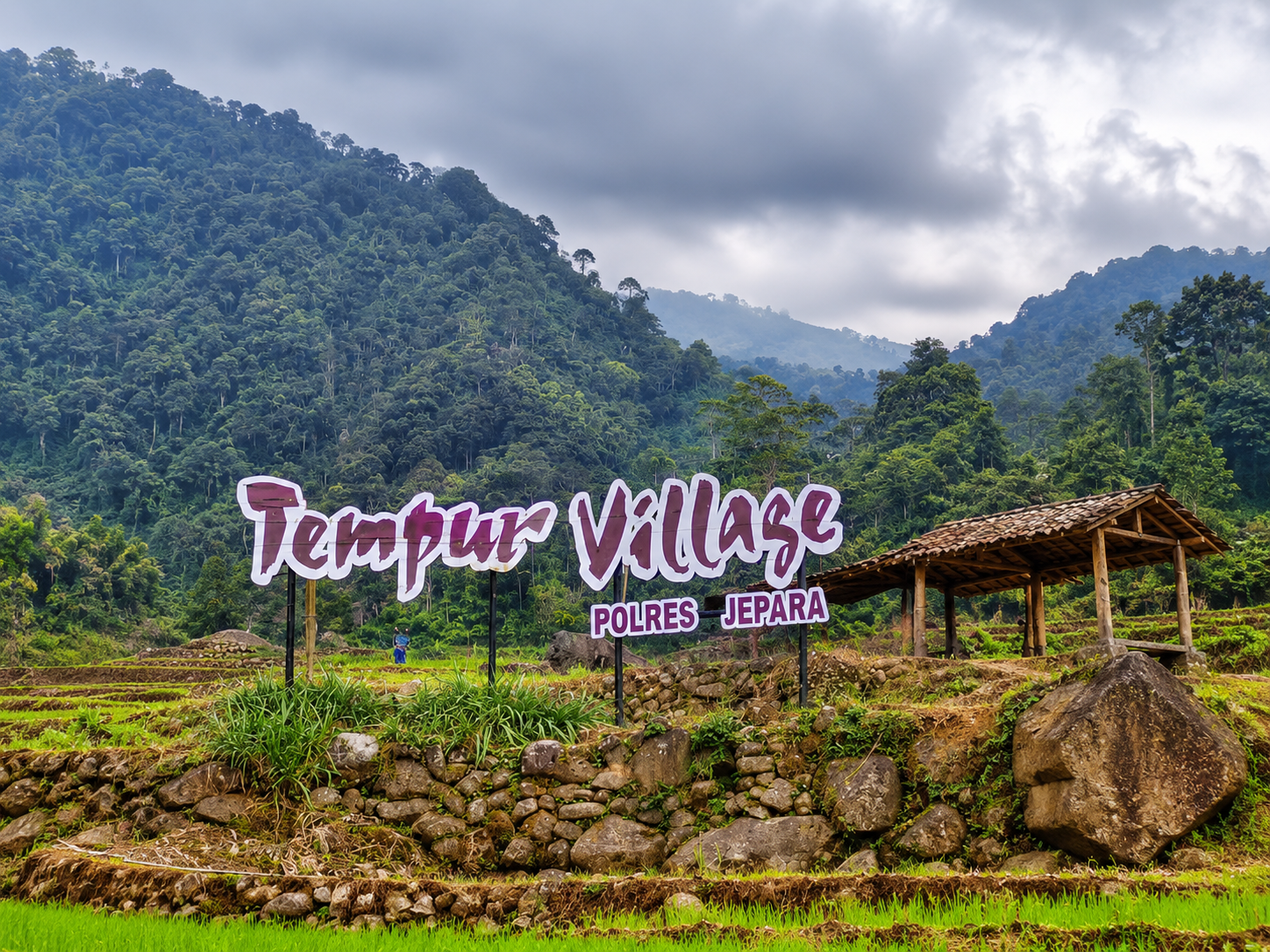 Wisata Desa Tempur Wisata Desa Tempur